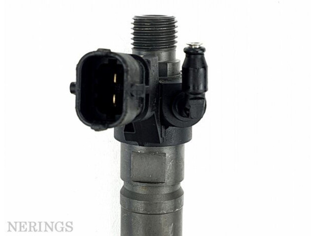 Жиклер (жиклеры) (форсунка (форсунки) 0445116055, RF-0445116055 Jaguar XF X250