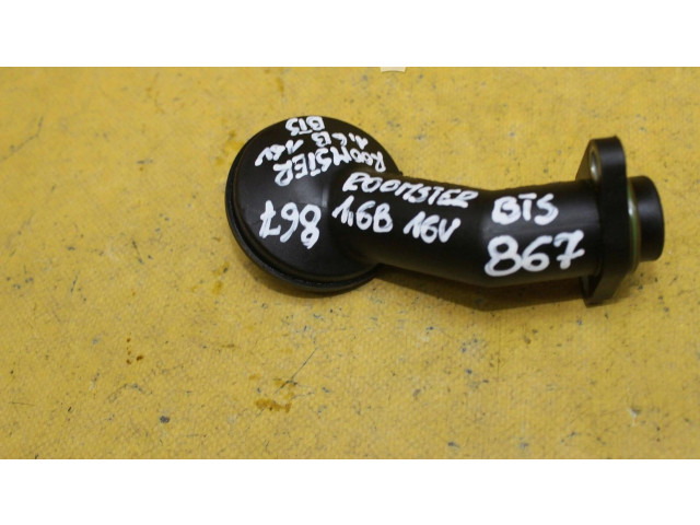 Масляный насос Skoda Roomster (5J)