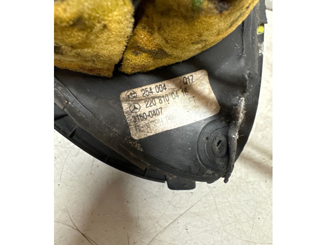 Zpětné zrcátko Mercedes-Benz S W220 1999 254004, 2208100416