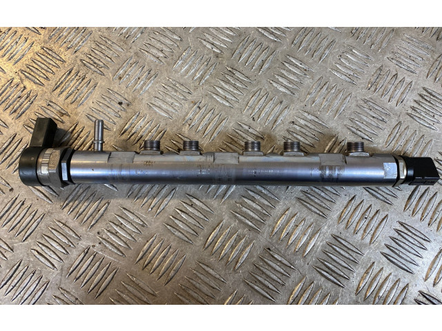 Топливная рампа 0281002738, 26030161 Volkswagen Golf Plus для двигателя BMM