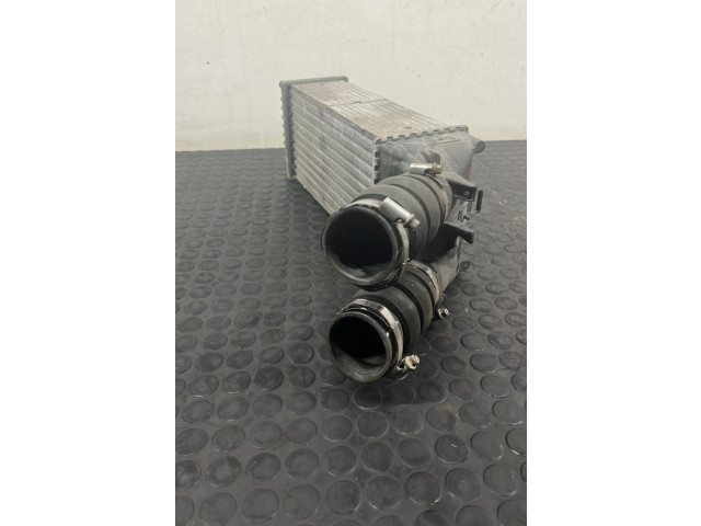 Интеркулер Citroen Berlingo