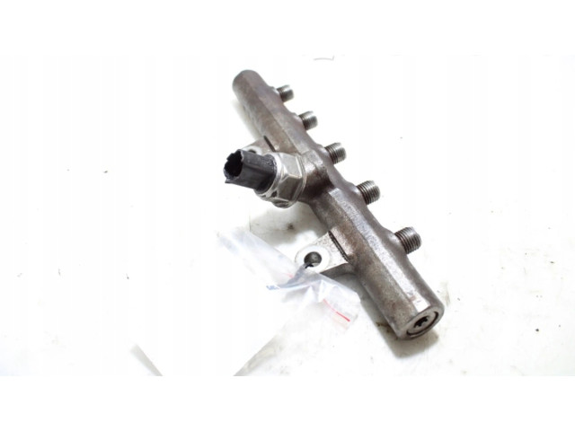 Топливная рампа Renault Kangoo II