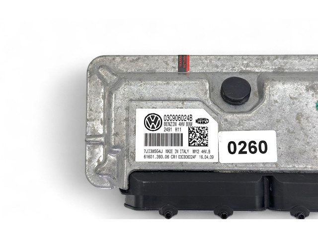Блок управления двигателя 03C906024B Skoda Fabia Mk2 (5J)