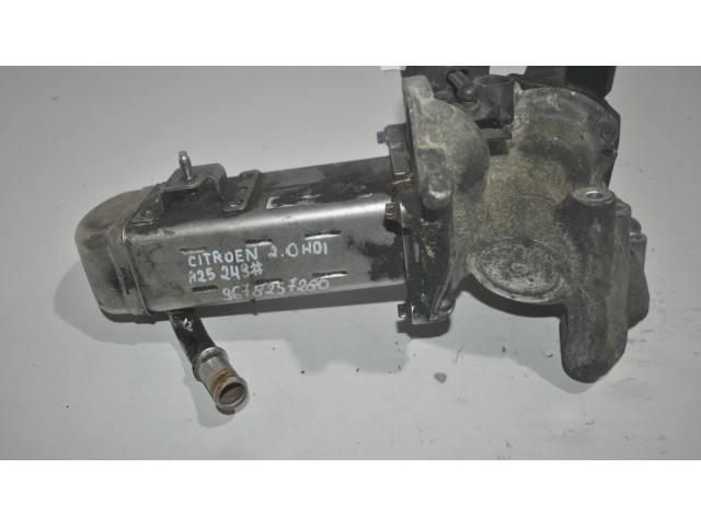 Комплект жиклеров (форсунок) 9678257280    Citroen C5