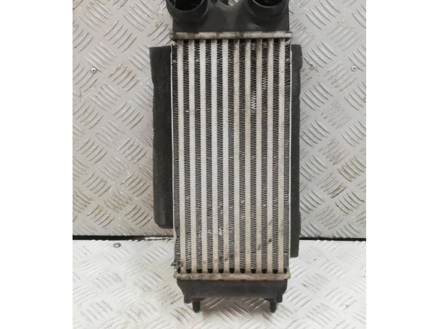 Интеркулер Ford Ecosport