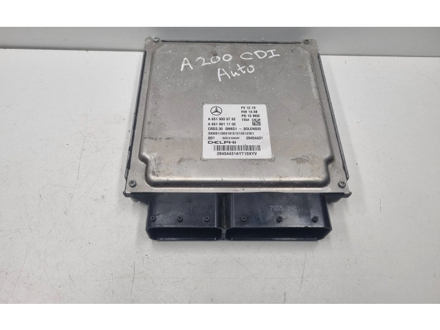 Блок управления двигателя A6519009702, 6519009702 Mercedes-Benz A W176