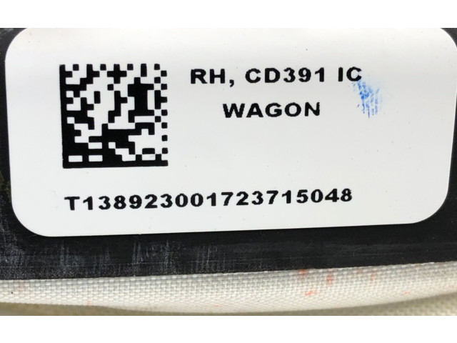 Надувная подушка для крыши DS73-N042D94    Ford Mondeo MK V