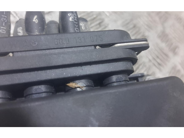 Блок управления двигателя 6Q0131075   Seat Ibiza III (6L)