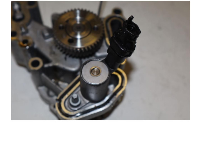 Čerpadlo oleje 50056393 Alfa Romeo Stelvio 55273835