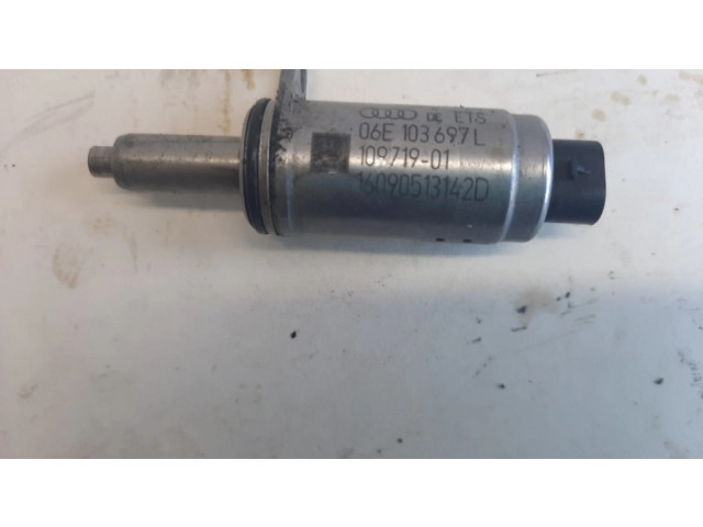 Варочный клапан Vanos