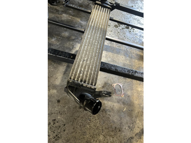 Интеркулер Dacia Logan I