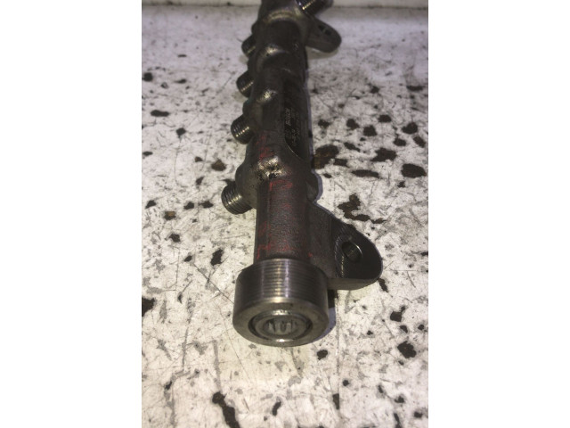 Топливная рампа 0445214254, 0445214254 Fiat Freemont