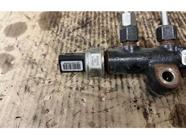 Топливная рампа 968529758002, 123403258 Citroen C4 I Picasso