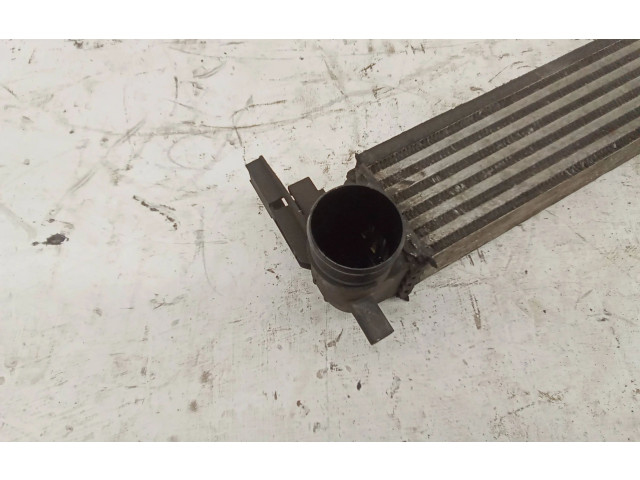 Интеркулер W0225002 Skoda Roomster (5J)