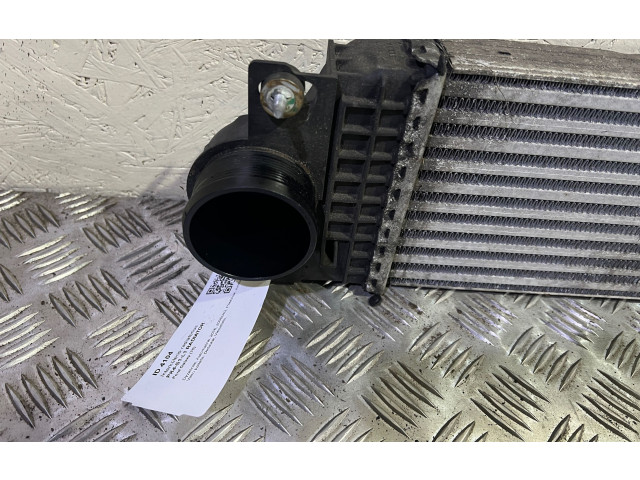 Интеркулер E1G36K775JA Ford Galaxy