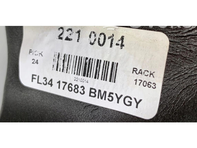 Zpětné zrcátko Ford F150 2015 FL34-17683-BM