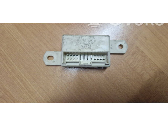 Блок управления 03454D, BLICM KIA Sorento