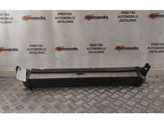 Интеркулер  R4642004, R4642004   Seat Ibiza IV (6J,6P) 