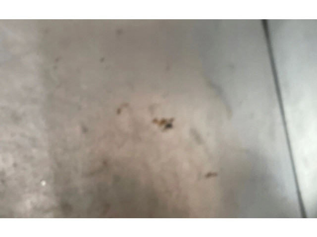 Čerpadlo oleje Opel Astra J