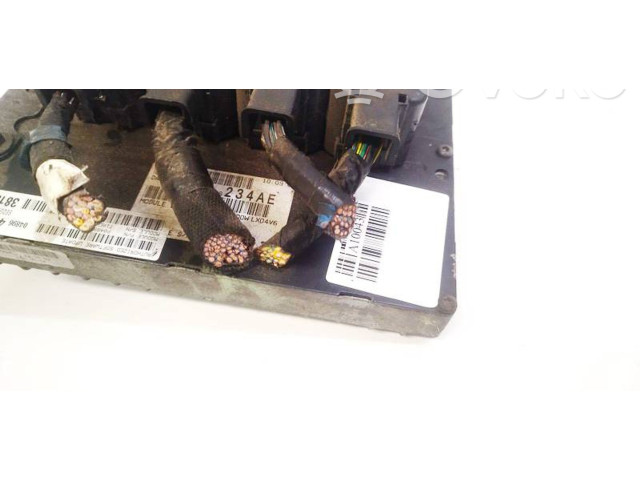 Řídící jednotka 04896403AJ, P04896403AJ Dodge Magnum 2005