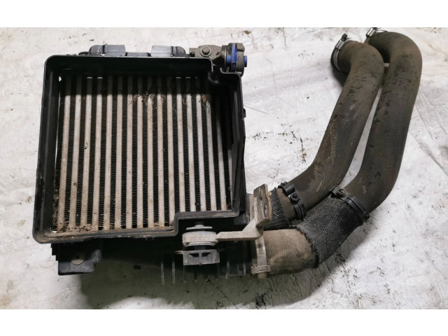 Интеркулер M162476, LA2048 Citroen Berlingo