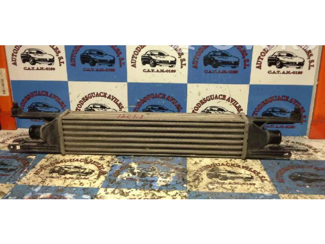 Интеркулер  0055700449   Fiat Punto (199) 