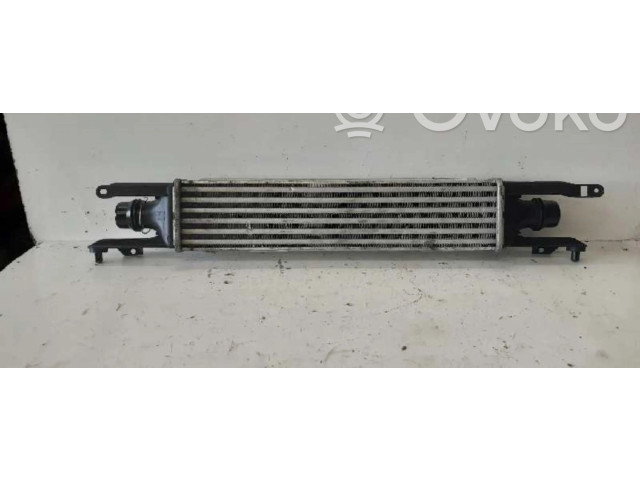 Интеркулер  440926702   Opel Meriva A 