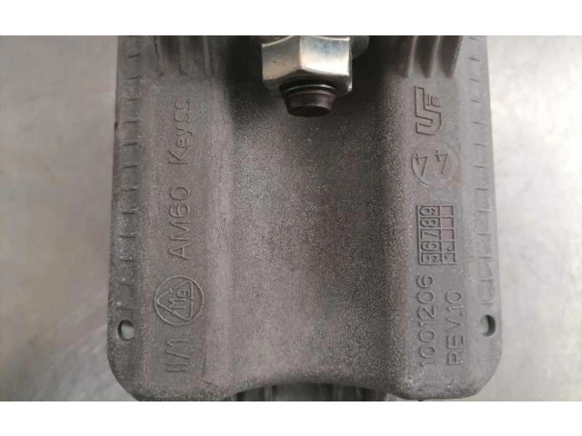 Подушка безопасности двери 1001206, 1001206   Audi A3 S3 A3 Sportback 8P