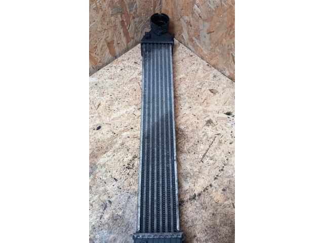 Интеркулер A1695000000, 1695000000 Mercedes-Benz A W169 2.0