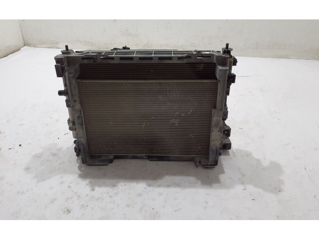 Комплект радиатора Dacia Jogger