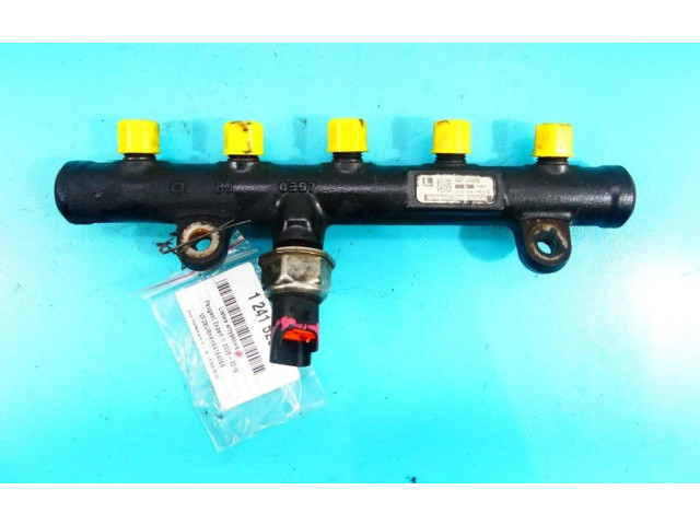 Топливная рампа 55PP0603, IMPRK1241526   Peugeot Expert  