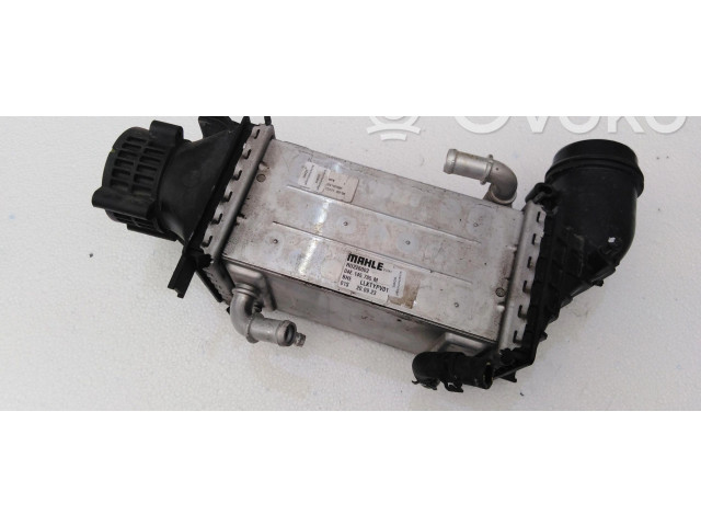 Интеркулер  04E145785M, 04E145785M   Cupra Formentor 