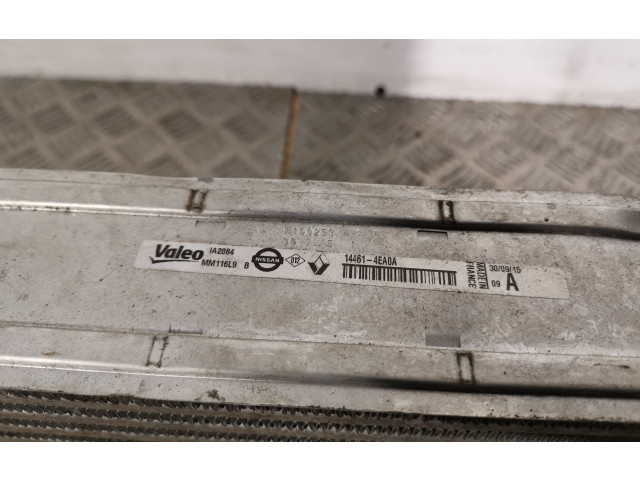 Интеркулер  144614EA0A   Renault Kadjar 