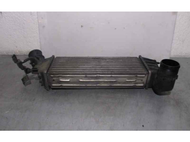 Интеркулер 1489396080, 870229HF Citroen C8