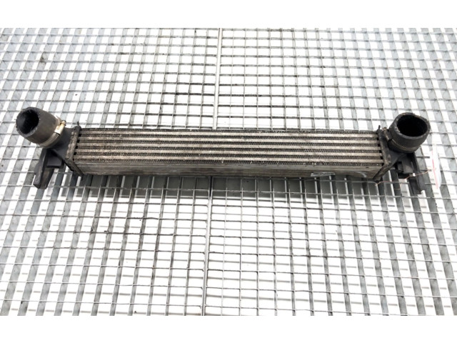 Интеркулер Y3427002 Skoda Rapid (NH)