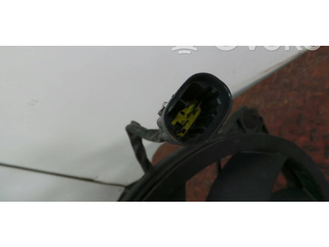 Вентилятор радиатора 9773009880, DC1706020 Citroen Berlingo
