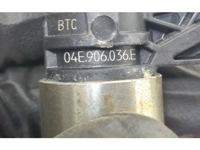 Форсунка 04E906036E, 0261500248    Skoda Fabia Mk3 (NJ)  CJZD 