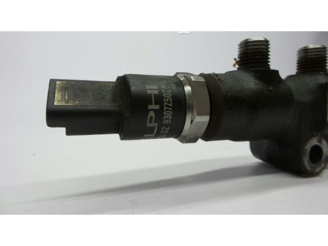 Топливная рампа 9642095280, 51HP02-02   Citroen C3  