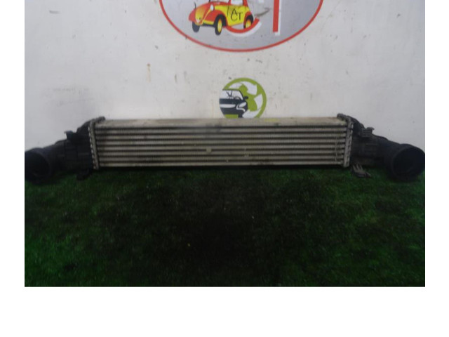 Интеркулер  2115001102, 2115001102   Mercedes-Benz E AMG W211 