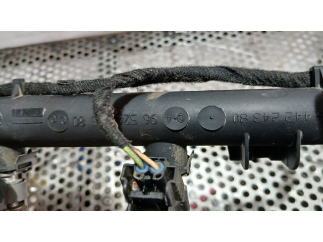 Топливная рампа 9652451580   Citroen C4 I  