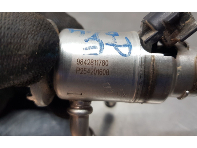 Форсунка 9842811780    Peugeot Partner III  YH01 