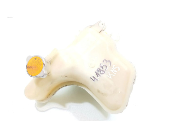 Расширительный бачок охлаждающей жидкости