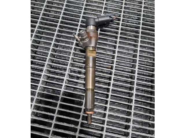 Жиклер (жиклеры) (форсунка (форсунки) H8201100113, 166006212R   Dacia Duster    