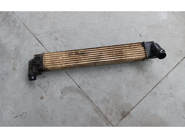 Интеркулер     Dacia Duster 