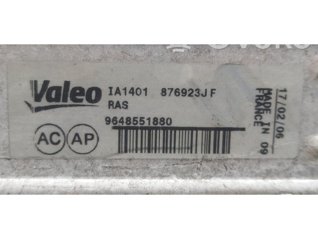 Интеркулер 9648551880 Citroen C4 I