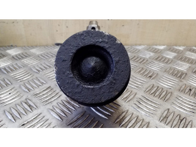 Píst C20Z20, 5520 Chevrolet Captiva pro naftový motor 2.0