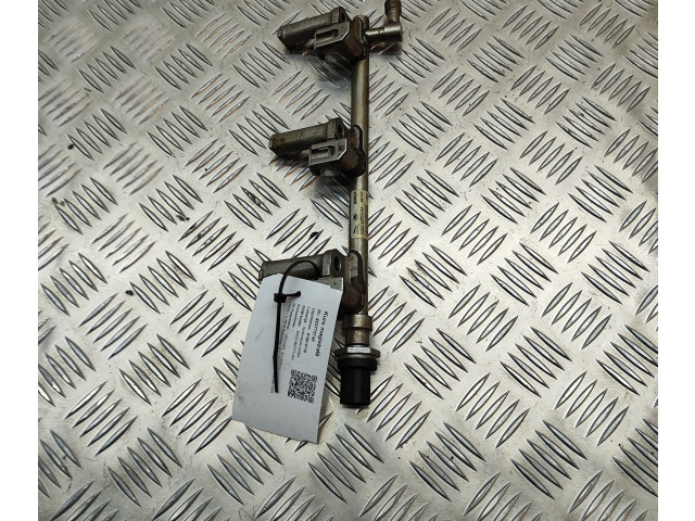 Топливная рампа DX239G774AA, DX239G756AB   Jaguar XJ X351   для двигателя AJ 126