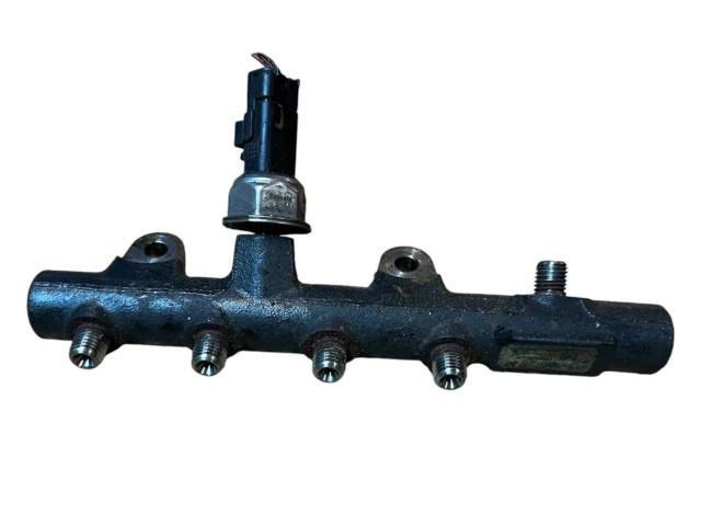 Vstřikovací lišta 175210651R, 153110206   Nissan Qashqai     