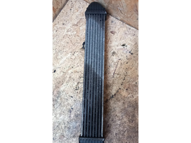 Интеркулер A1695000000, 1695000000 Mercedes-Benz A W169 2.0