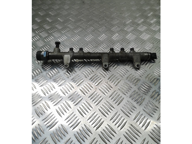 Топливная рампа 314002F600, 018929   KIA Sportage  